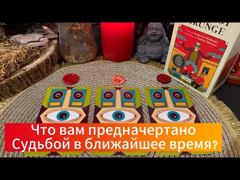 Что мне предначертано Судьбой в ближайшее время? 👀 гадание на таро Tarot Reading