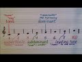 Understanding the Major Scale