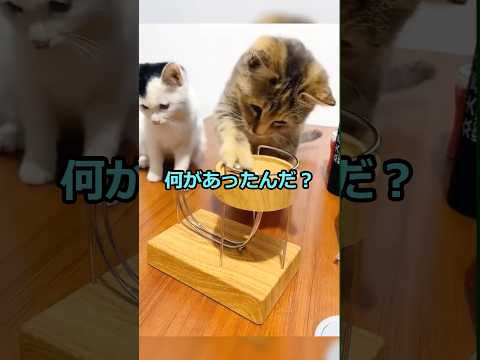 会社で奇声を発する社員