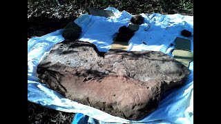 Since Mudfossils  Teaching and Delusional Mental Illness go Hand in Hand....Teachers have Failed