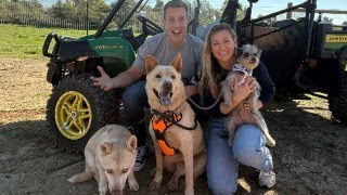LIVE 🔴 from the NEW Dog Rescue Farm! Featuring Pumpkin, Lilly & Bodie 🥰