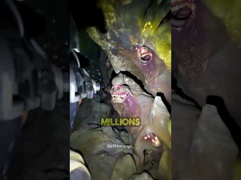 This Guy Found Something Crazy In This Cave 😱