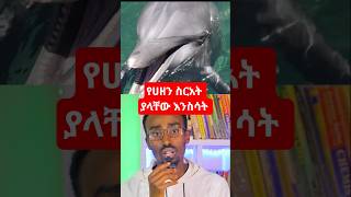 የሀዘን ስርዓት ያላቸው እንስሳት animals mourning lose #duet  #habeshatiktok #Science #amharic #ethiopia