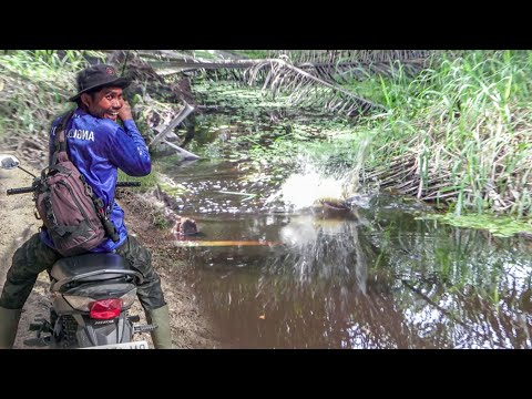 GOKIILLL !!! Mancing Dari Atas Motor Auto Panen Strike 😂