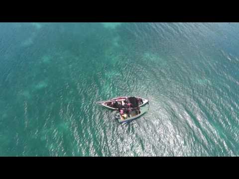 Happy Holidays from Pure Grenada