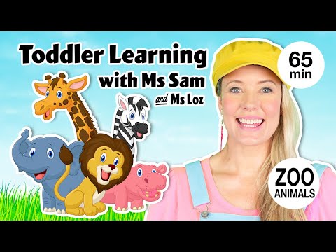 Toddler Learning with Ms Sam - Learn Zoo Animals - Kids Songs - Educational Videos for Toddlers