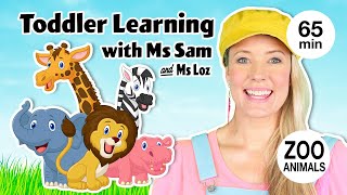 Toddler Learning with Ms Sam - Learn Zoo Animals - Kids Songs - Educational Videos for Toddlers