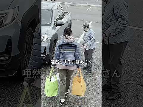 女性が駐車している車を押す理由