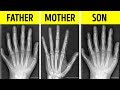 Science Curiosities and Facts
