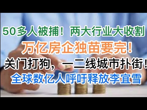 穷疯了！两大行业开始大收割！万亿房企独苗要完！关门打狗，一二线城市扑街！全球数亿人呼吁释放李宜雪！(20241223第1330期)