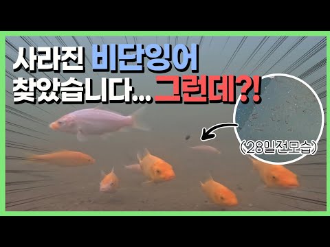 하하하하하하하 보셨나요? 자연의 위엄입니다 [은별 둠벙 11]