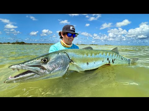 Pesca de MONSTRUOS a 1 pie de profundidad! | Barracuda Gigante y Róbalos