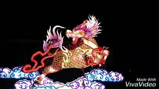 China Light Festival 2019 Köln