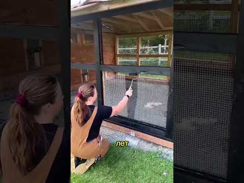 Маскирующая краска для сетки! Подпишись, чтобы не потерять