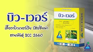 บิว-เวอร์ เชื้อราบิวเวอร์เรีย บัสเซียน่า สายพันธุ์ BCC 2660 I TAB Innovation