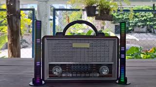 ลูกทุ่งเพลงเก่าหมอลำม่วนล้านเปอร์เซ็น