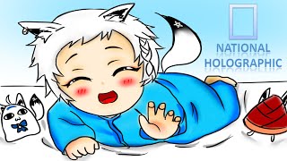 [ホロライブ Hololive] National Holographic - Arctic Fox Shirakami Fubuki