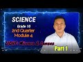 Reflection and Mirrors Concepts