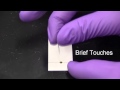 Thin Layer Chromatography Techniques