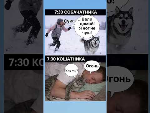 #юмор #shortvideo #прикол #shortsviral #смех #shorts #short #tiktok #rek #reels #shortsvideo