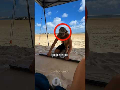 Fue A Descansar A La Playa… Pero Hizo Esto 😳#curiosidades #shorts #shortsfeed