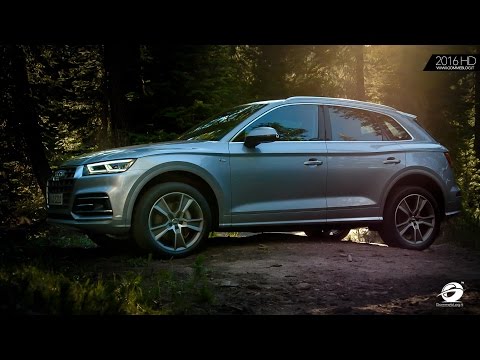 Audi Q5 Basis