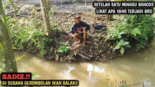 EDAN.!! NIAT MANCING NILEM BABON TIBA TIBA DI SERANG SEGEROMBOLAN IKAN GALAK DAN SADIS