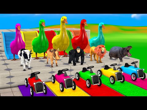 5 Giant Duck Cow, Lion, Gorilla, Pig, Hippopotamus, Transfiguration Funny Animals Cage Game 2024