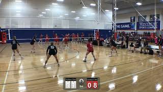 1st Alliance 17 silver Vs 1 st Alliance 17 white 3 st  2