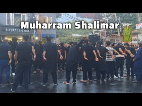 Muharram jammu kashmir in Shalimar ! Muharram julus 2025 !