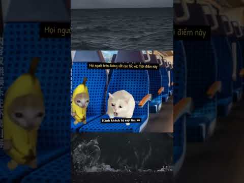 cảm động thành cảm lạnh  🥶 #memes #funny #shorts