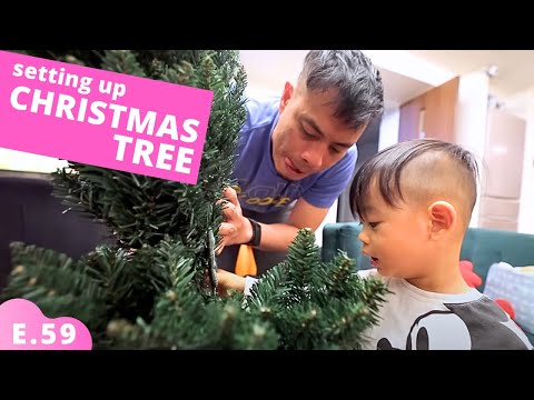 Setting Up Our Christmas Tree in Japan E.59