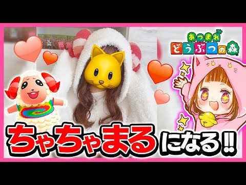 念願のちゃちゃまるになれました!!🥺🥺購入品紹介&最近のお話し【 あつまれどうぶつの森 / ジェラートピケ / ミッフィー 】