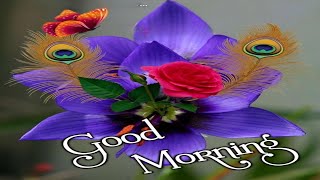 GOOD MORNING suvichar | inspirational quotes | hindi quotes | Good Morning Thoughts