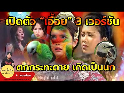 เปิดตัว เอื้อย 3 เวอร์ชัน ตกกระทะตุย เกิดเป็นนก | แม่ปลาบู่ทอง ตอนที่35 ตอนที่36 ตัวอย่างตอนต่อไป