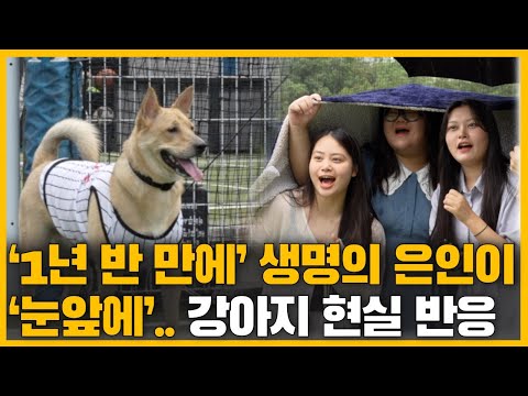 동사 직전 자신을 구해줬던 학생들을 '1년 반 만에' 만난 강아지.. '멈칫'하더니..