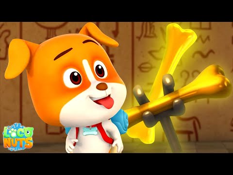 Hunt For The Golden Bone, Loco Nuts Funny Cartoon Videos for Kids