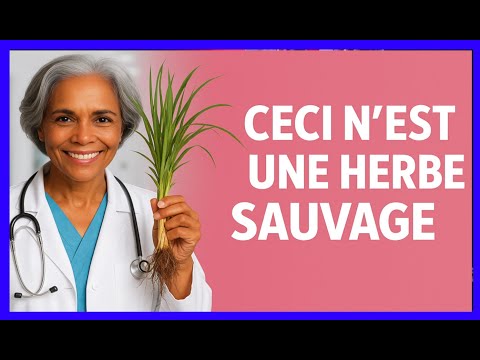 VOICI Pourquoi les médécins conseillent le thé naturel au gazon sauvage. vous serez tres surpris!