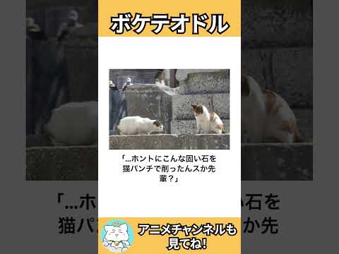 【ネコガミ】動物でボケテオドルPart88