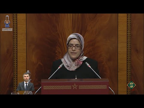 ثورية عفيف ومناقشة تقرير المجلس الاعلى للحسابات 2019 - 2020