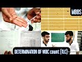 Leukocyte Count Experiment Concepts