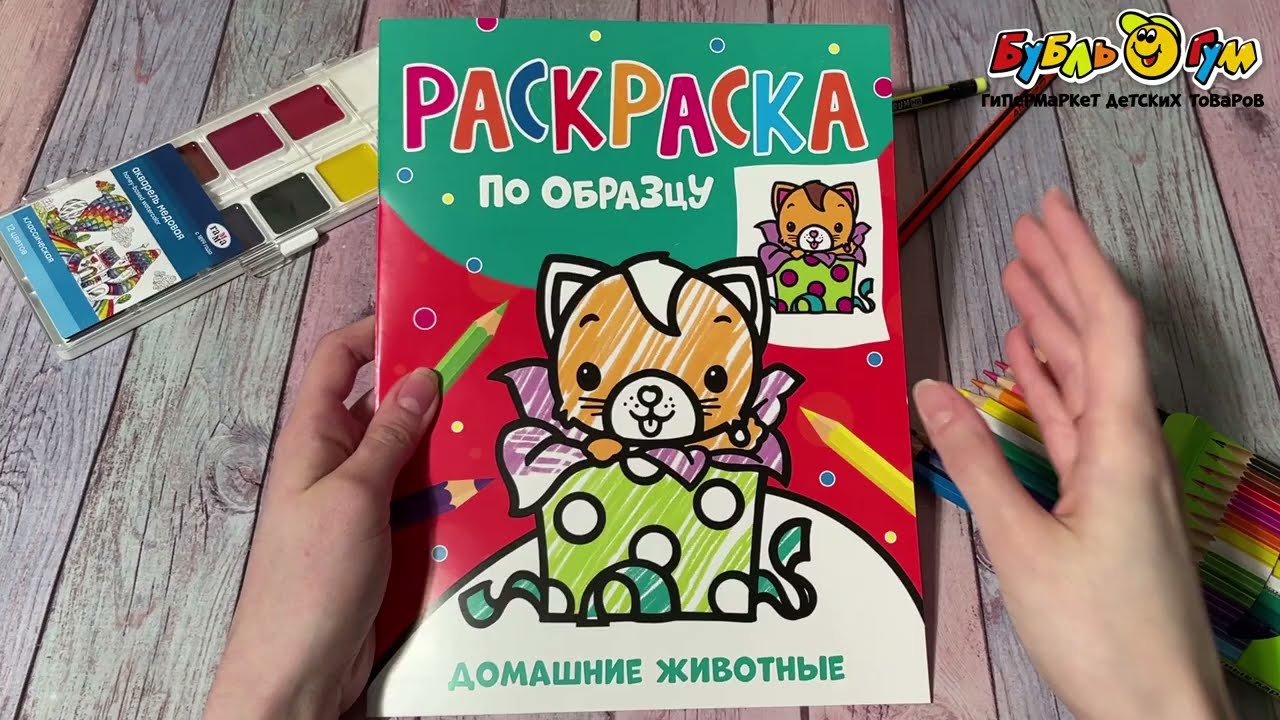 Раскраска по образцу Домашние животные с 0мес - видео Раскраска по образцу Домашние животные с 0мес - видео
