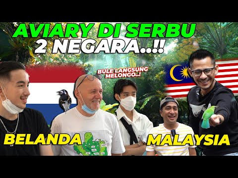 LUAR BIASA..!! SETELAH JEPANG, AVIARY GW TERKENAL DI BELANDA DAN MALAYSIA..❗❗BULE TERHARU BANGET...