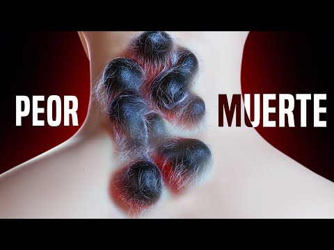 Esto Pasaría Si la Criatura Más Venenosa del Mundo te Mordiera