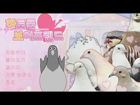 [짤툰 LIVE 풀버전] 새대갈의 비둘기 연애 시뮬레이션 게임❤