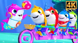 Five Little Sharks Jumping in the Sea, Fun Shark Song for Kids