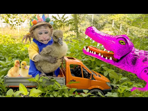 Baby monkey Bon Bin fishing runner duckling cat crocodiles Transfiguration Animal Islands
