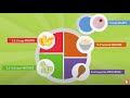 Nutritional Knowledge Assessment
