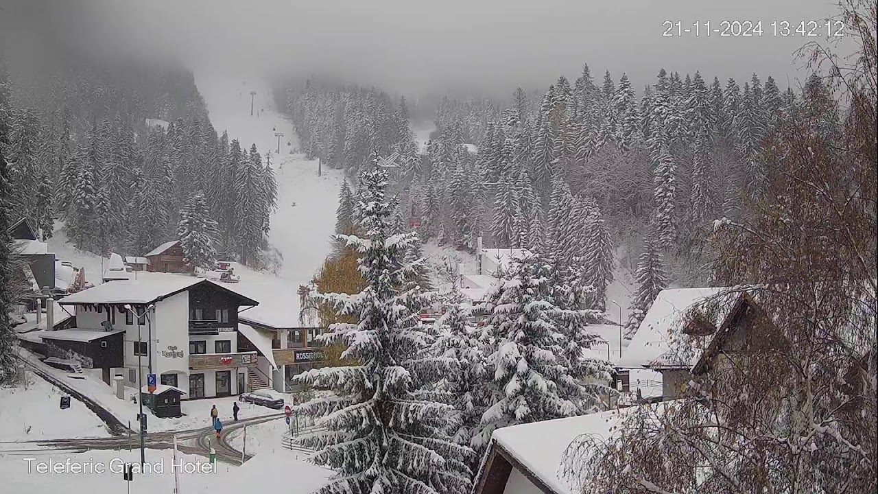 webcam poiana brasov