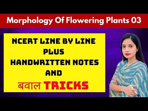 Morphology of flowering plants 03 - NCERT LINE BY LINE + HANDWRITTEN NOTES AND बवाल TRICKS